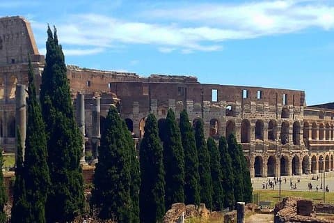Visite privée du Colisée et du Forum romain dirigée par un archéologue