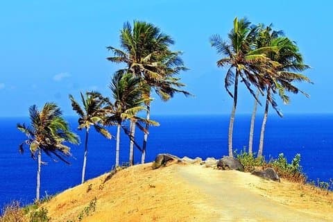 Lombok Waterfall Tour with Forest and Hill: All Inclusive