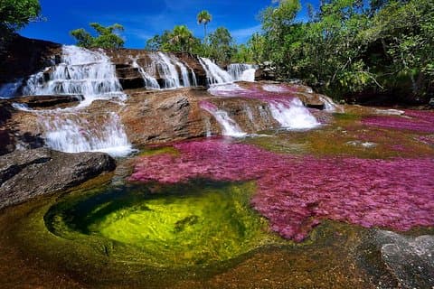 3 - Día Caño Cristales desde Bogotá
