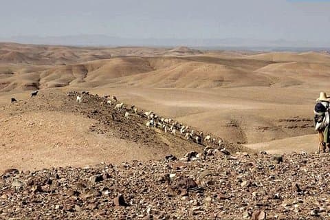 4 Valleys & Agafay Dagstur fra Marrakech