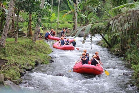 Bali Rafting con il tour di Ubud