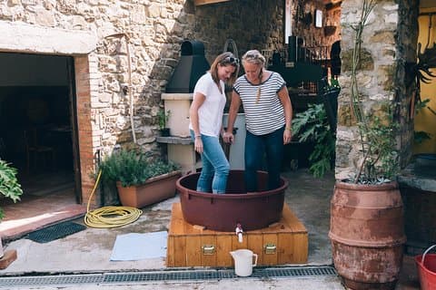 Vinhos privados em Chianti de Siena