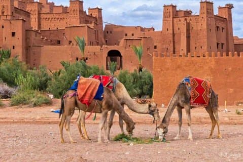 Ait ben haddou en Ouarzazate dagtocht