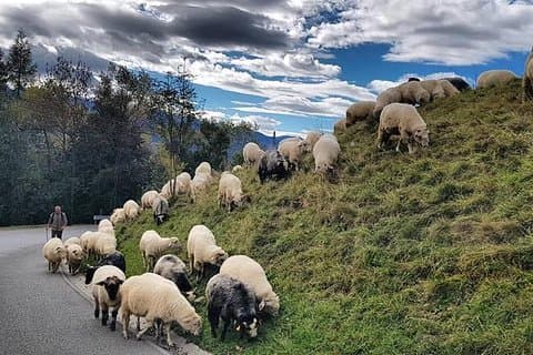 Visite privée de Zakopane