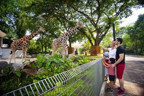 Privat tur til det beste av dyreattraksjoner i Kuala Lumpur