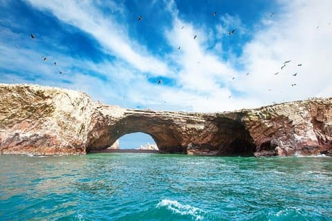 Ballestas und Paracas von Lima mit dem Bus