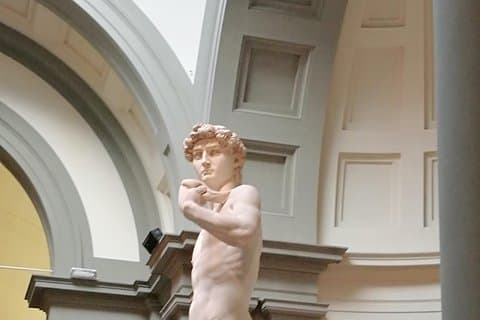 Florenz: 1-stündige Tour durch die Accademia Gallery mit Eintrittskarten