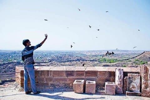 Experiencia de alimentación de cometas en el fuerte de Mehrangarh, Jodhpur