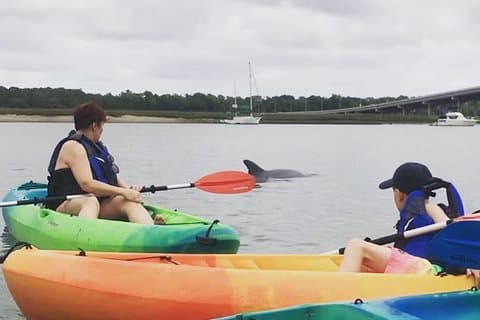 Hilton Head Geführte Kajak Eco Tour