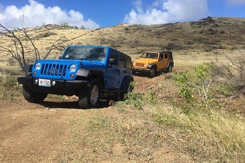 3,5 - Timmes guidad ötur med Jeep