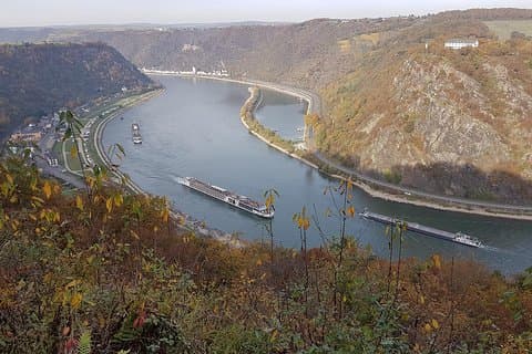 Udflugt fra Frankfurt til Rüdesheim - Halv dag