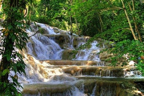 SMALL GROUP TOUR til Dunns River Falls fra Montego Bay