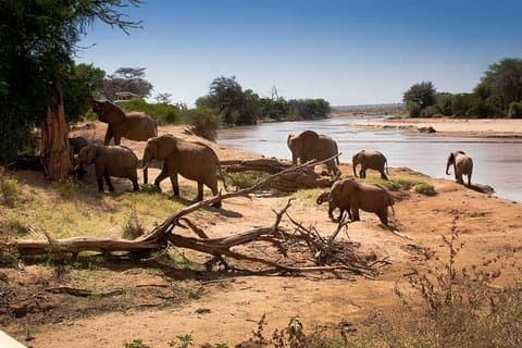 Viagem de um dia ao Parque Nacional de Tarangire