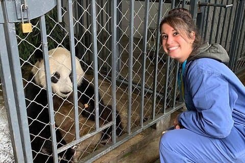 Dujiangyan Panda-Erlebnis mit Mittagessen