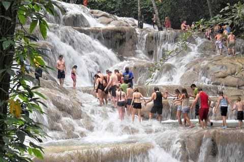 Privat Dunn's River Falls-dagstur fra Montego Bay og Grand Palladium