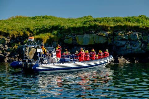 Premium tour met papegaaiduikers en vogels kijken met kleine groepen vanuit Reykjavík