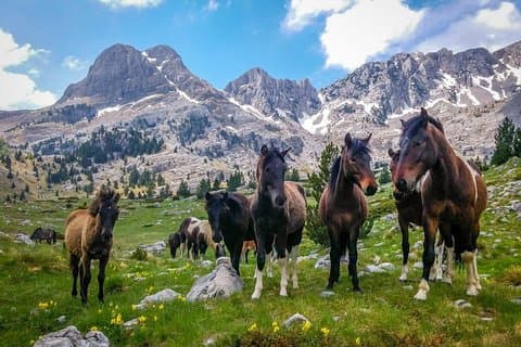 Hiking between Bosnia and Herzegovina
