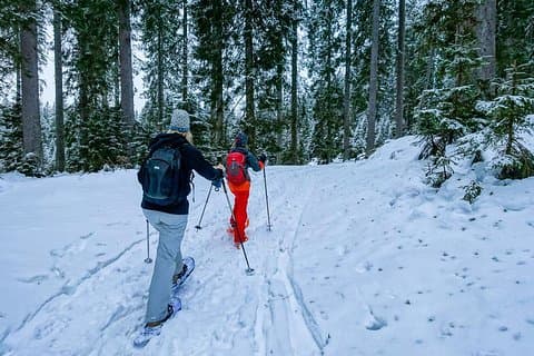 Snesko i Triglav nationalpark