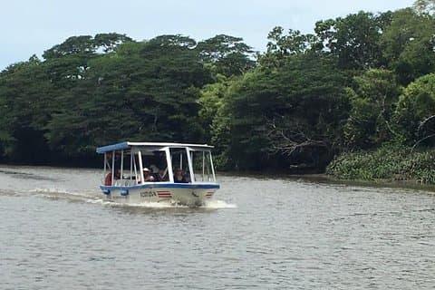 Safari sul fiume Palo Verde