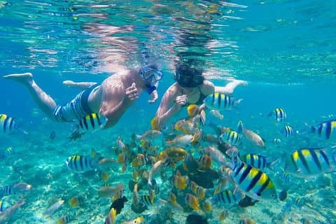 Gili Paradise Islands Hoppas från Lombok