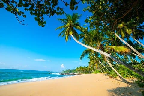 9-Days Sri Lanka Itinerary Tour (Private) by Aaliya Tours