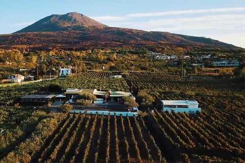 Økologisk vinsmaking og lunsj på Vesuvius med overføring fra Amalfikysten