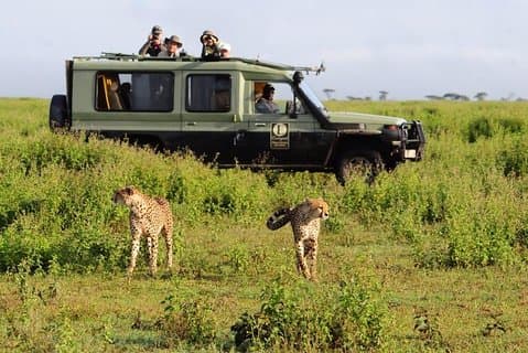 3 Day Best Camping Safari in Tanzania Parks