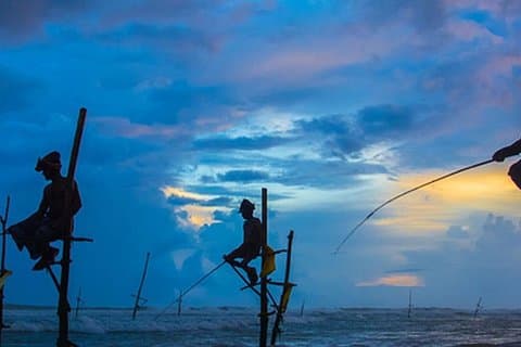 Galle Day Tour