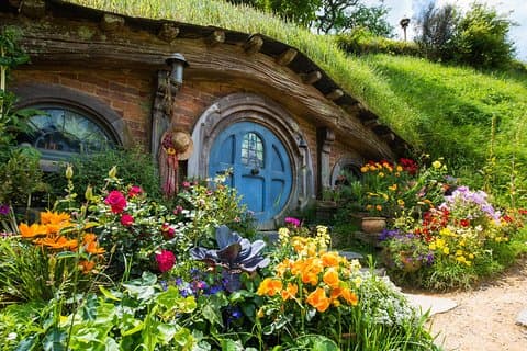 Privat Auckland til Rotorua tur via Hobbiton Movie Set