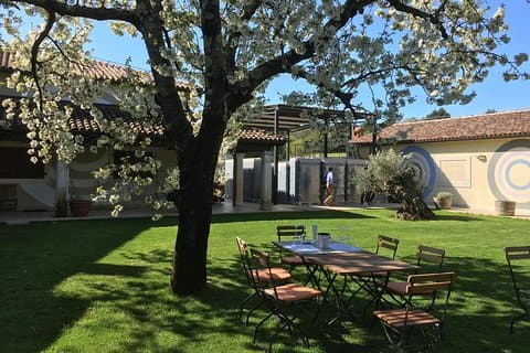 Istrian tapestry - gourmet tour combining wine, truffles and olive oil