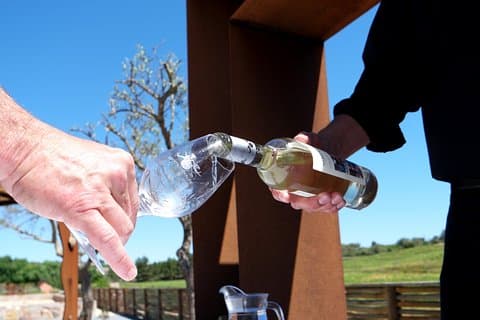 Cata de vinos y tour de arte.