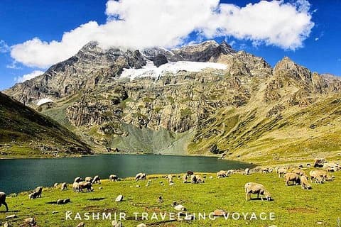 Kashmir Tour Packages : 4 Days 5 Nights