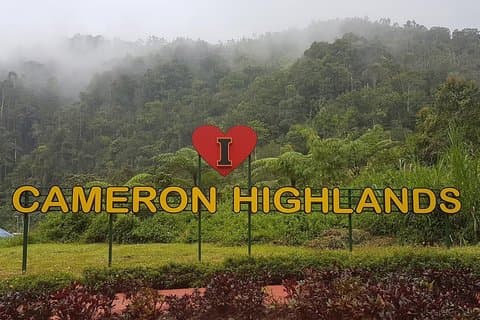Cameron Highlands Fantastisk dagstur med lokal lunsj