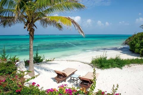 13 Days Congo Zanzibar (Gorillas, Nyiragongo Hike and Zanzibar beach holidays)