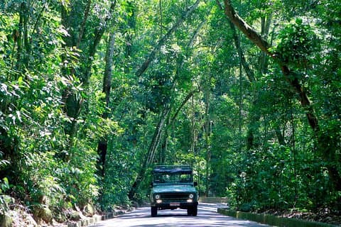 Tour en jeep por el bosque de Tijuca