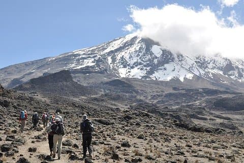 8 Tage Lemosho Route - Besteigen Sie den Kilimanjaro