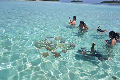 Excursión de un día a las Islas San Blas con transporte desde Ciudad de Panamá