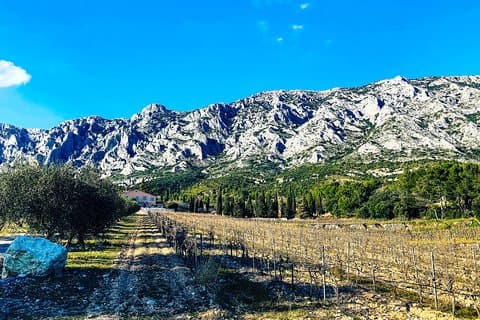 Aix-en-Provence - Mt Sainte Victoire wines in search of Cézanne