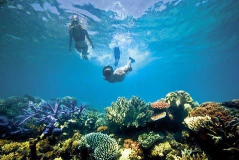 Cozumel Adventure