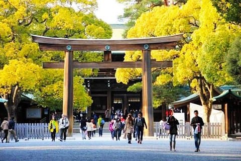 Privat Tokyo Custom Half-Day Tour av Chartered Vehicle