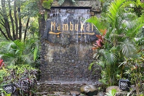 Excursion d'une journée à Mambukal Resort à Bacolod