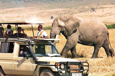 6-Day Tanzania Northern Circuit Camping Safari
