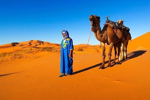 12 Days 11 Nights The best of Morocco (starts and end in Marrakesh)