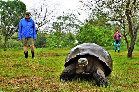 10-daagse Galapagos en Amazon Quest