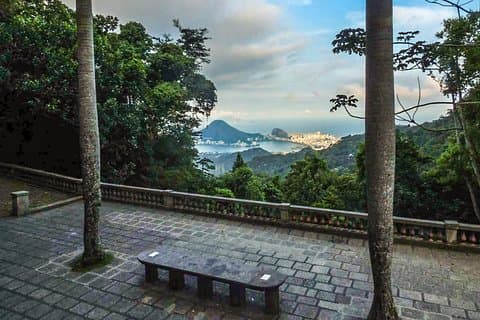 Tijuca forest with snack