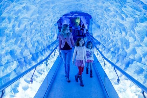 SEA LIFE Kelly Tarlton's General Admission