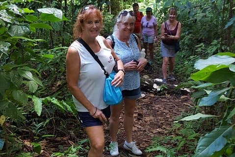 Excursion d'une demi-journée dans la forêt tropicale de St Kitts