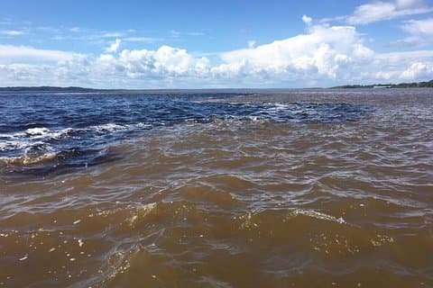 Amazon Private Safari ved Tuhiri Eco Tour - Leaving Manaus
