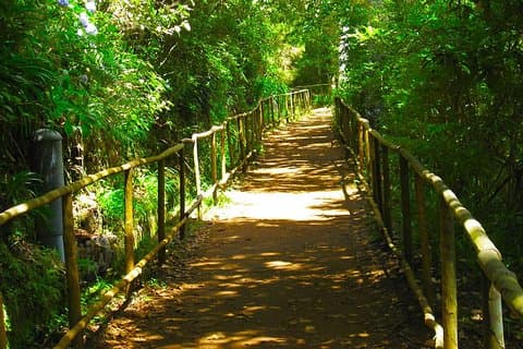 Levada do Caldeirão Verde Levada Walk from Funchal