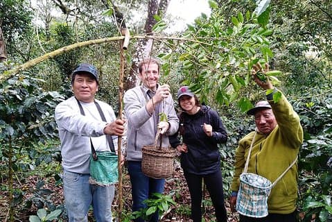 Expérience à la ferme de café: Excursion de 1 jour au café au départ de Cusco